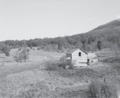Figure 11.3